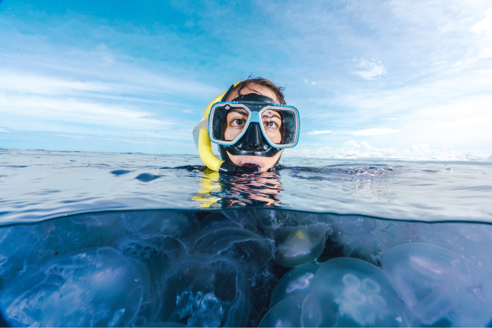 A woman snorkeling in the ocean