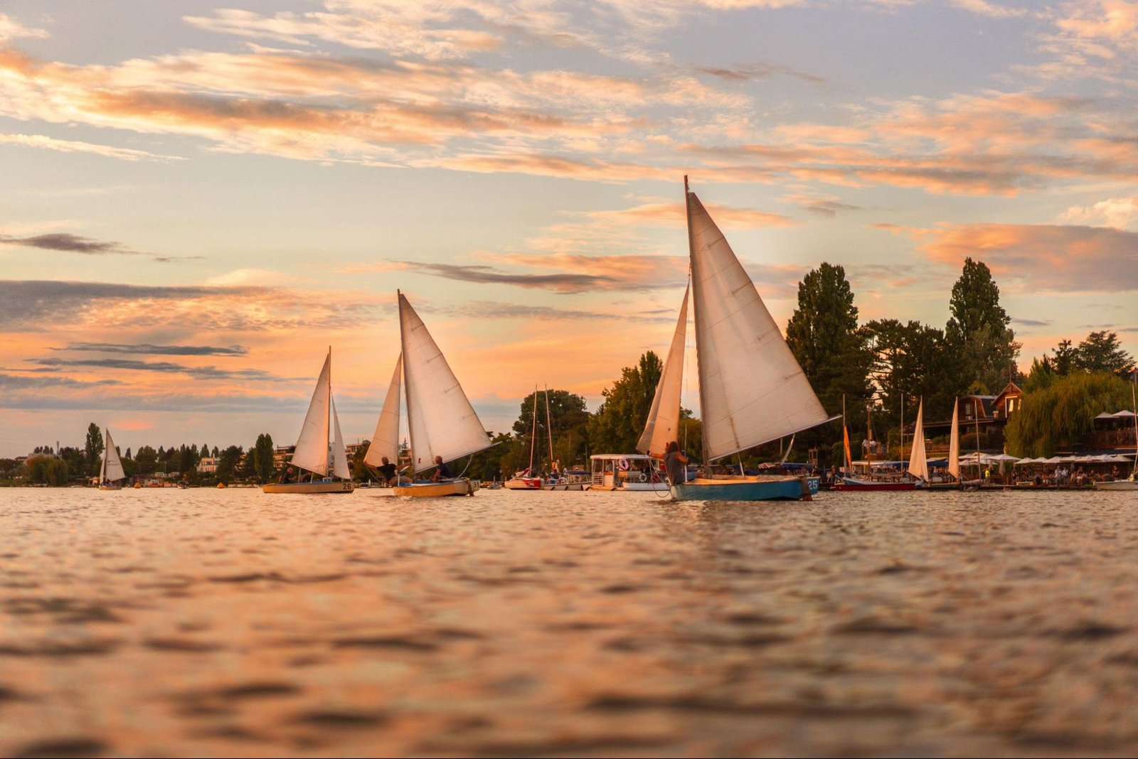 Various sail boats near a harbor in the ocean at dusk.