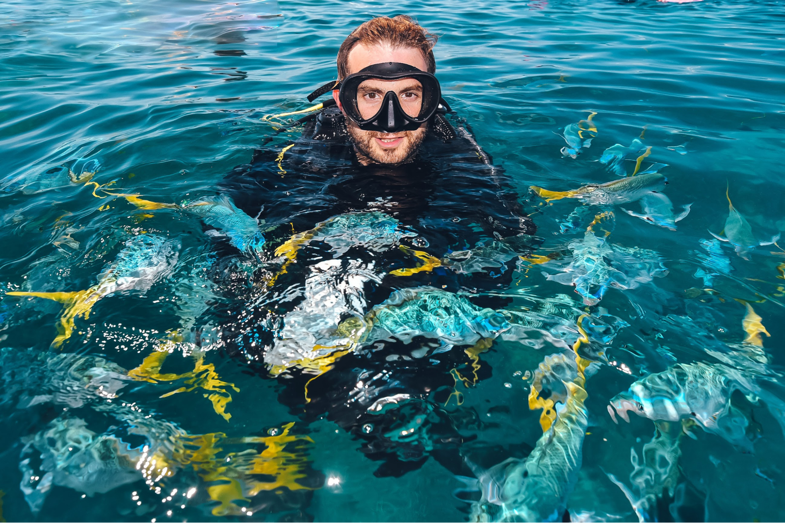 A scuba diver surrounded by fish.