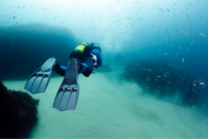 A scuba diver in the ocean.