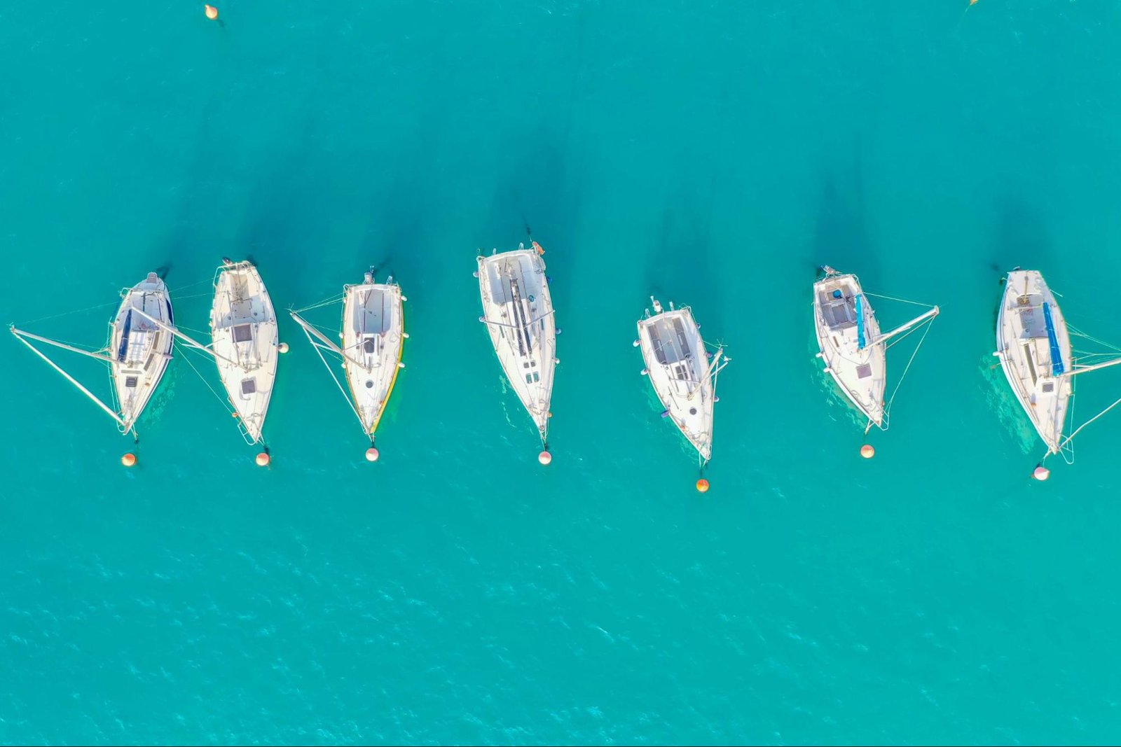  An aerial view of sail boats in the ocean