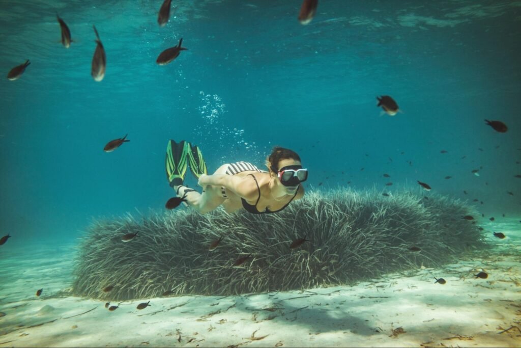 Woman snorkeling in the ocean next to fish.
