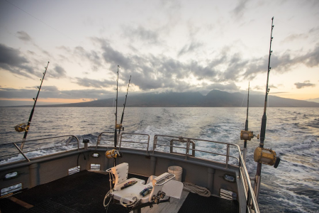 The back side of the boat has fishing reels hanging out towards the ocean. 
