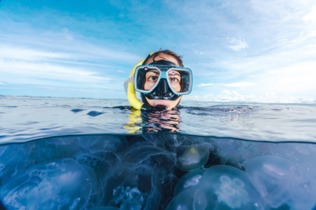 A woman snorkeling in the ocean